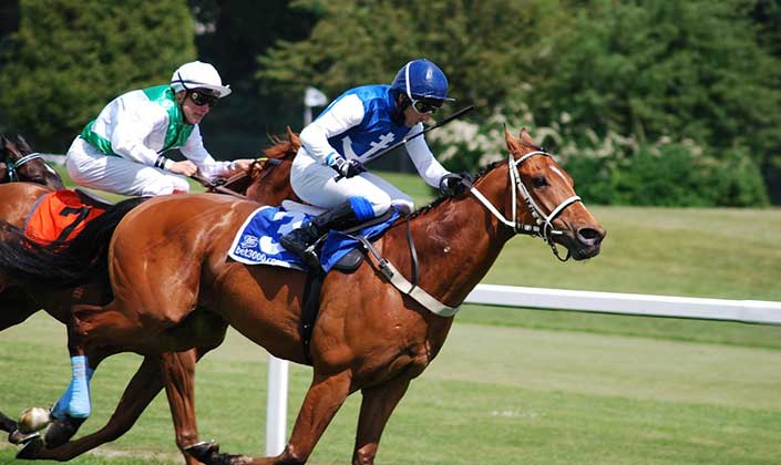 Hippodrome Amiens