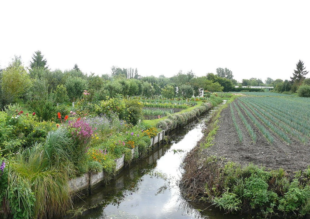 Jardin Des Vertueux Amiens 