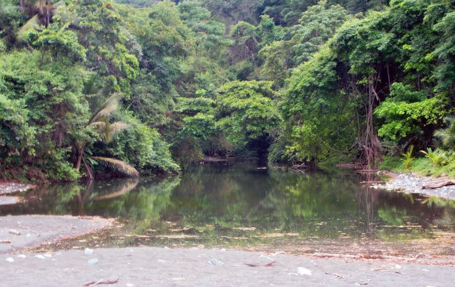 Parc National Du Corcovado 