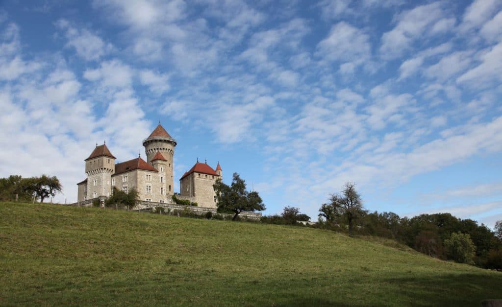 Chateau De Montrottier 