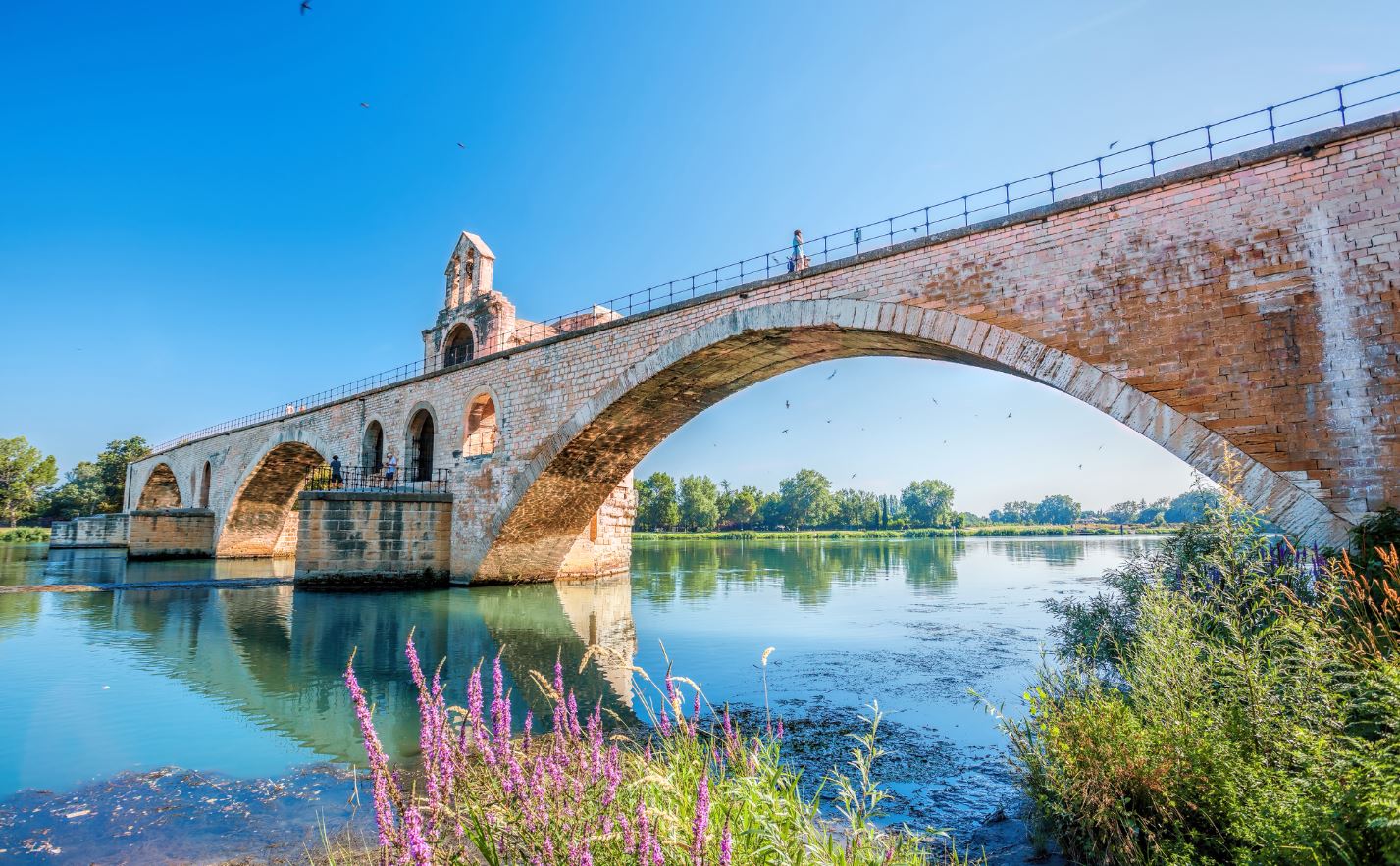 Que faire à Avignon ? Top 15 des activités incontournables à faire