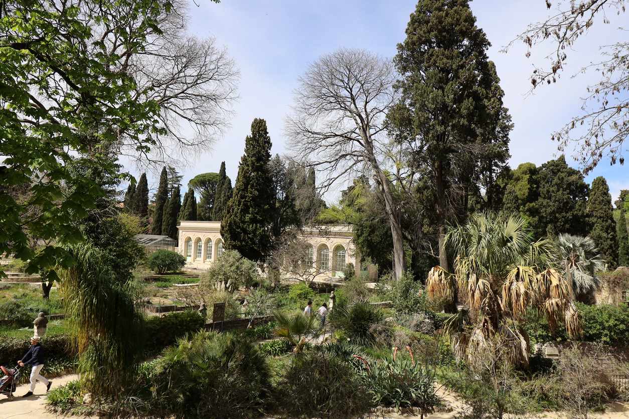 Jardin Des Plantes Montpellier