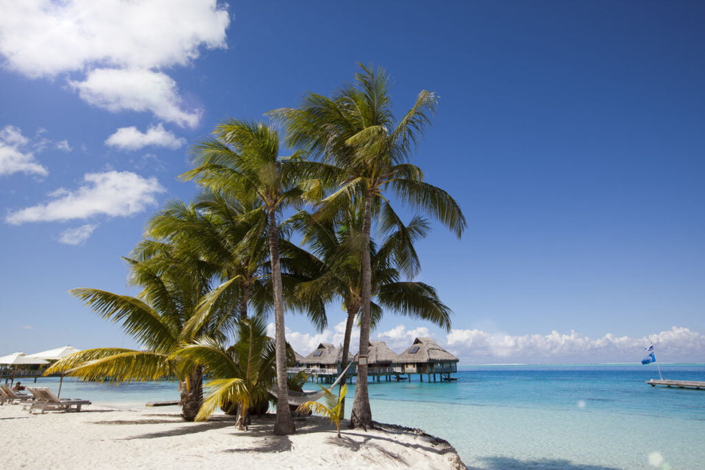 île avec des palmiers et de petites maisons sur l’eau dans l’océan iles maurice