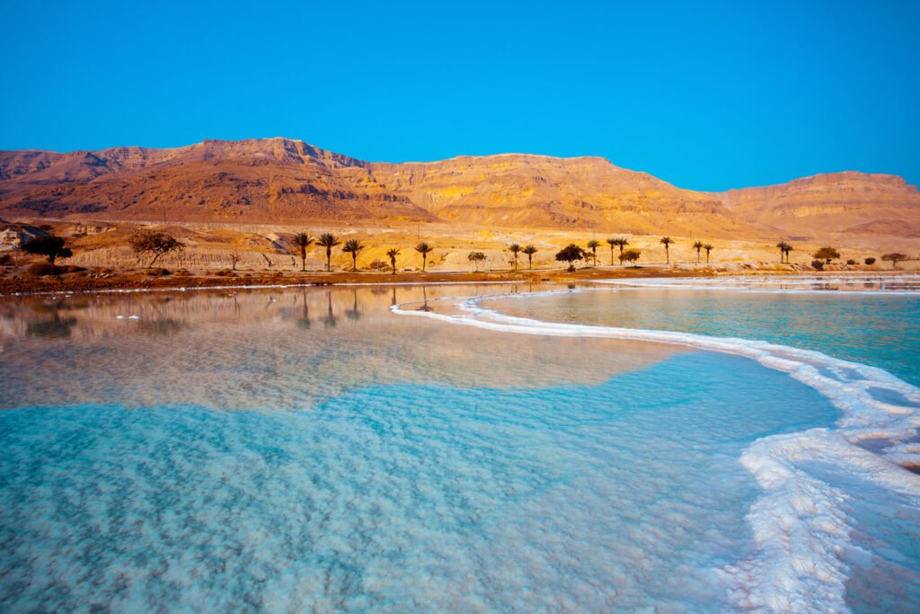 Bord de mer de la mer Morte avec des palmiers et des montagnes en arrière-plan jordanie
