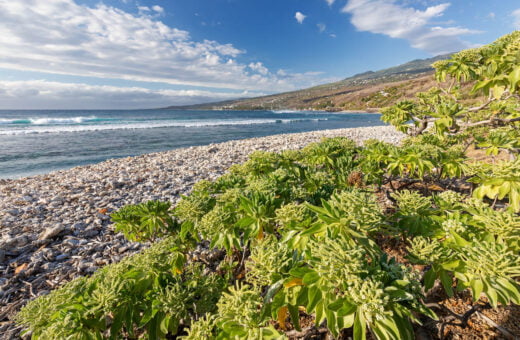 Ligne côtière près de Saint-Leu - côte ouest de l’île de La Réunion