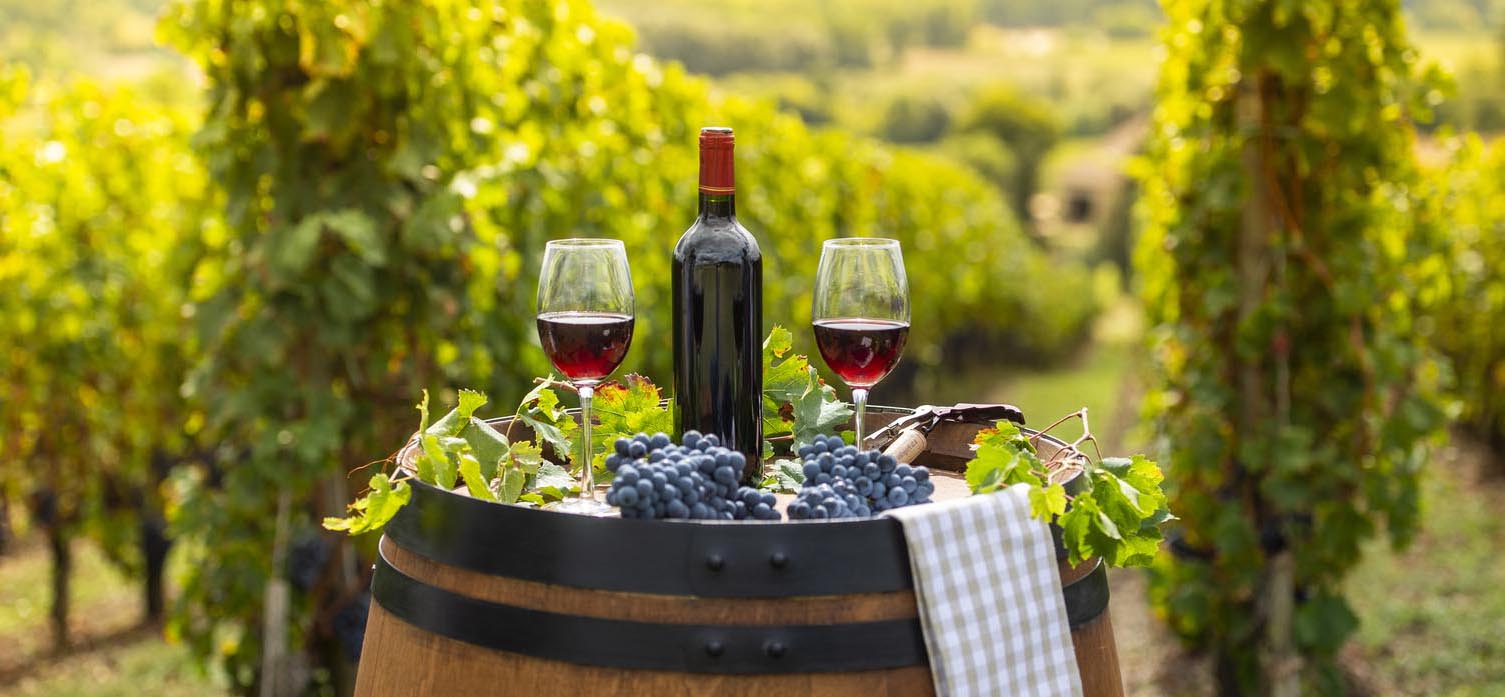 Vin de bordeux et verre sur un tonneau dans les vignes