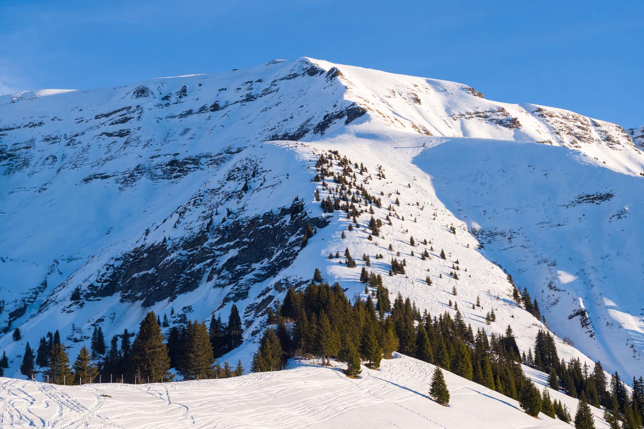 Le mont joly