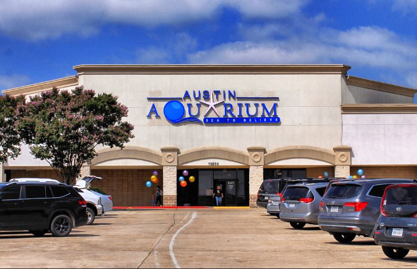 Aquarium Austin