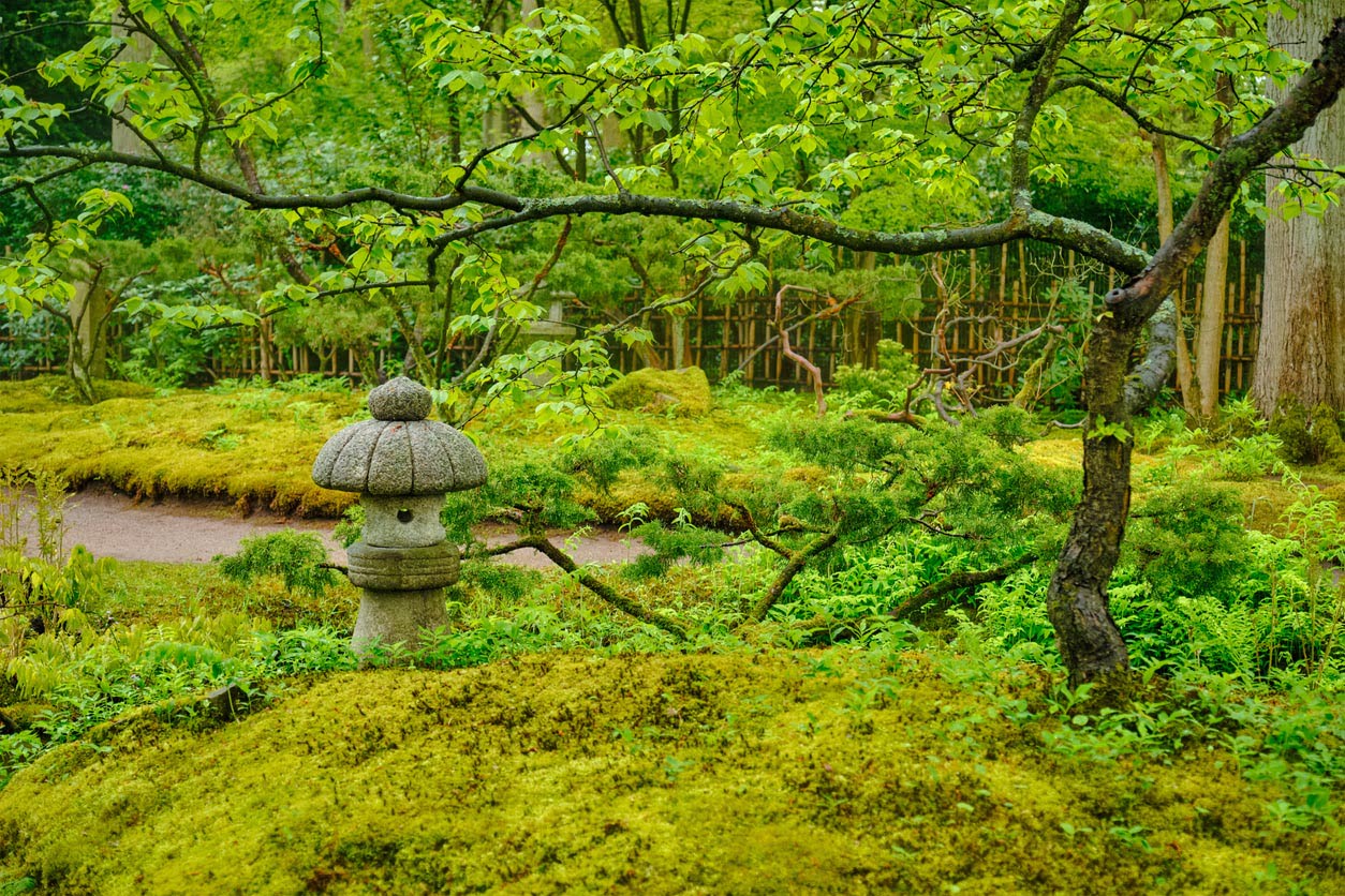 Japanese Garden, Park Clingendael