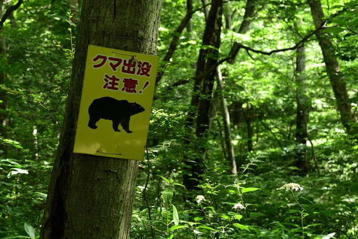 Bear Mountain Randonnée Japon