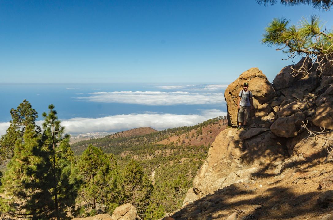 Corona Forestal Tenerife
