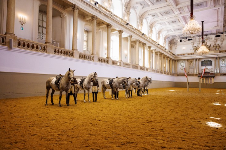 école Espagnole équitation Vienne 
