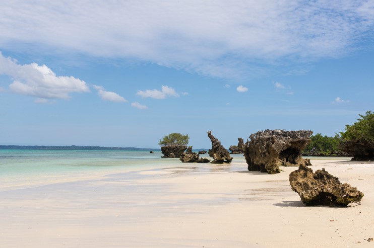 Ile De Pemba Zanzibar