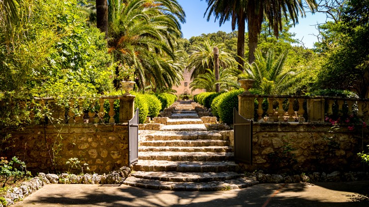 Jardins D'alfabia Majorque