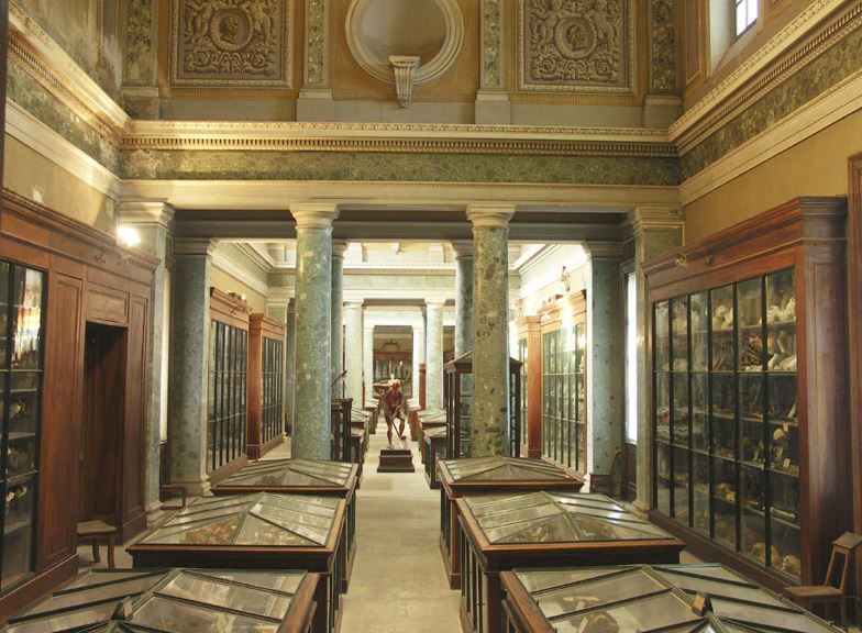Musée D'anatomie Montpellier