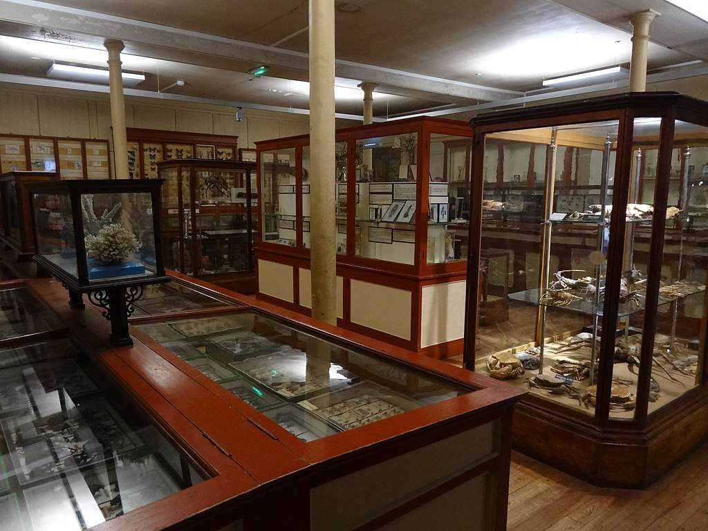 Muséum D'histoire Naturelle De Rouen