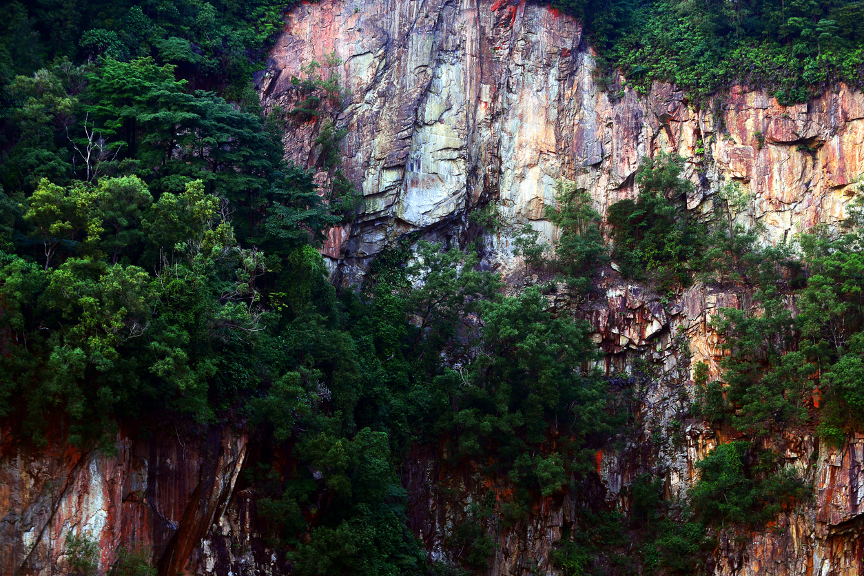 Réserve naturelle de Bukit Timah