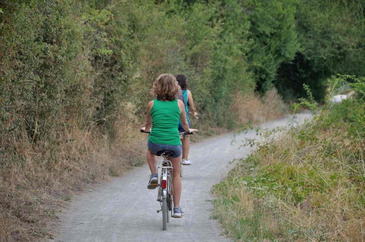Vélo sur le bord de la Loire