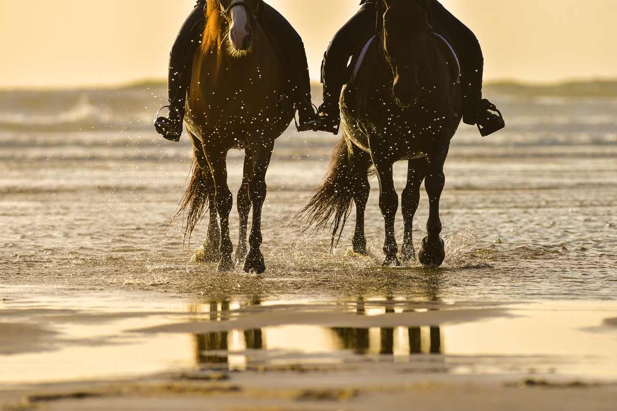 balade à cheval sur la plage
