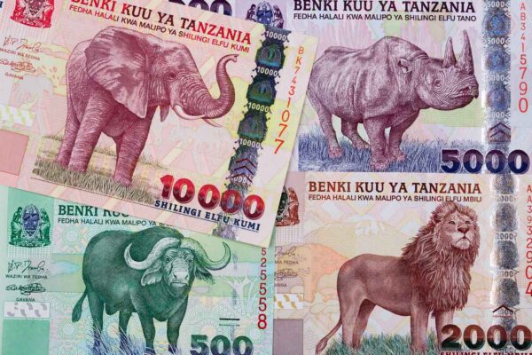 Shilling Tanzanien Monnaie Zanzibar