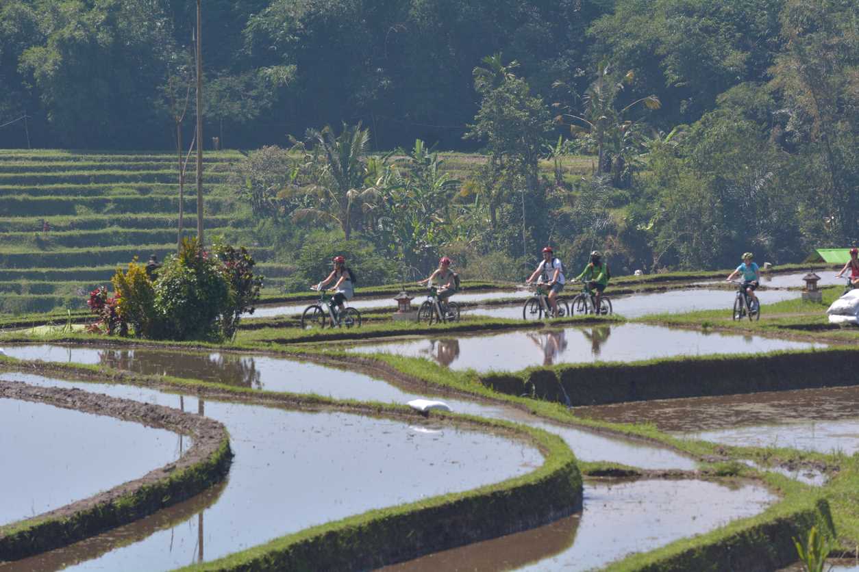 Vélo Bali