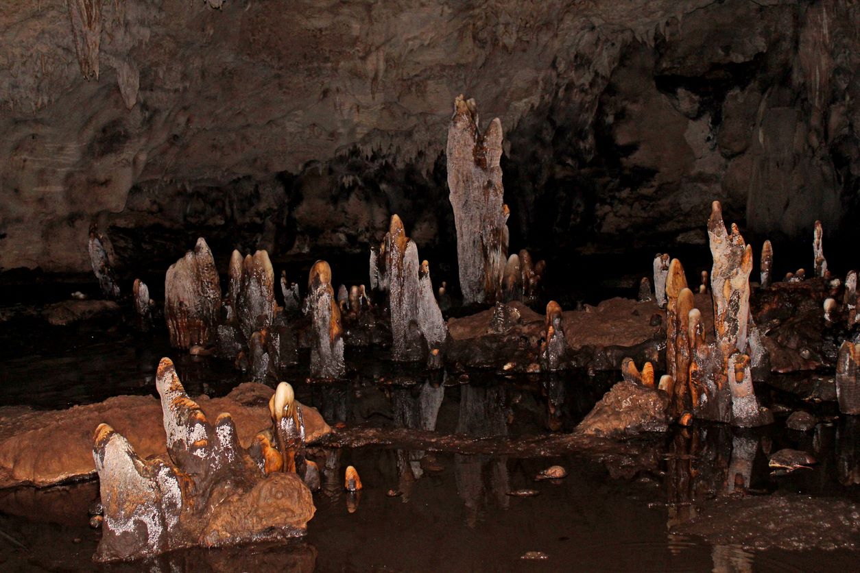 Grottes Tabon