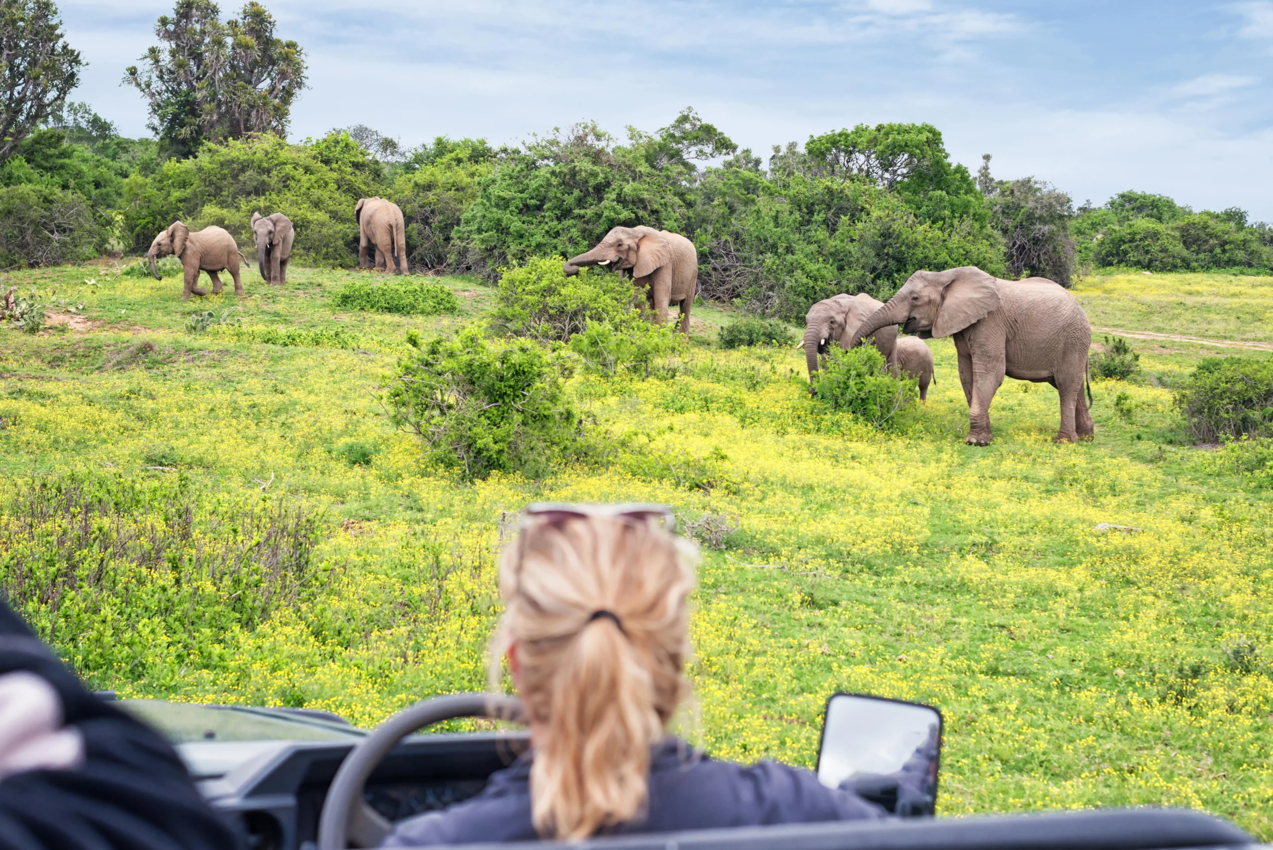 parc Kruger