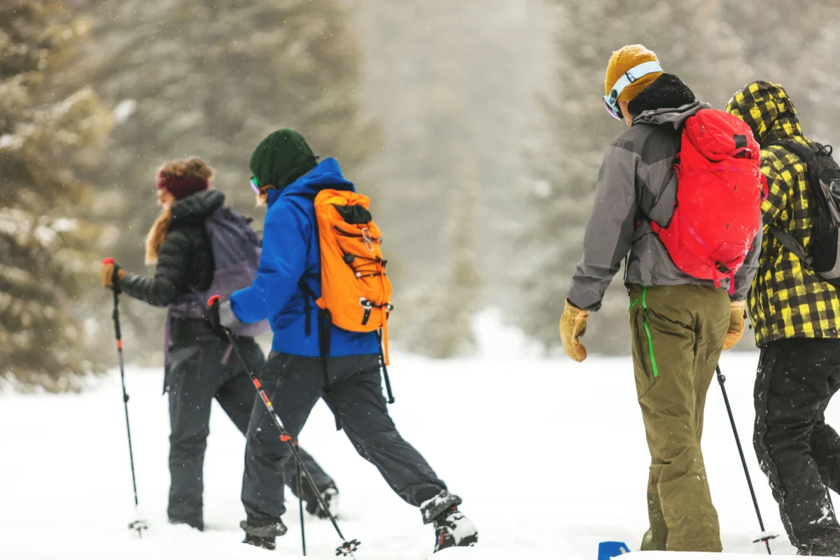 raquette de ski