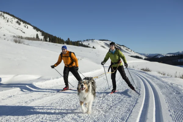 Ski nordique Vercors